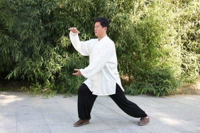 杨胜利老师紫竹院练拳