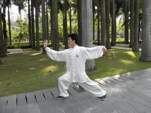 张顺利内家拳辅导站