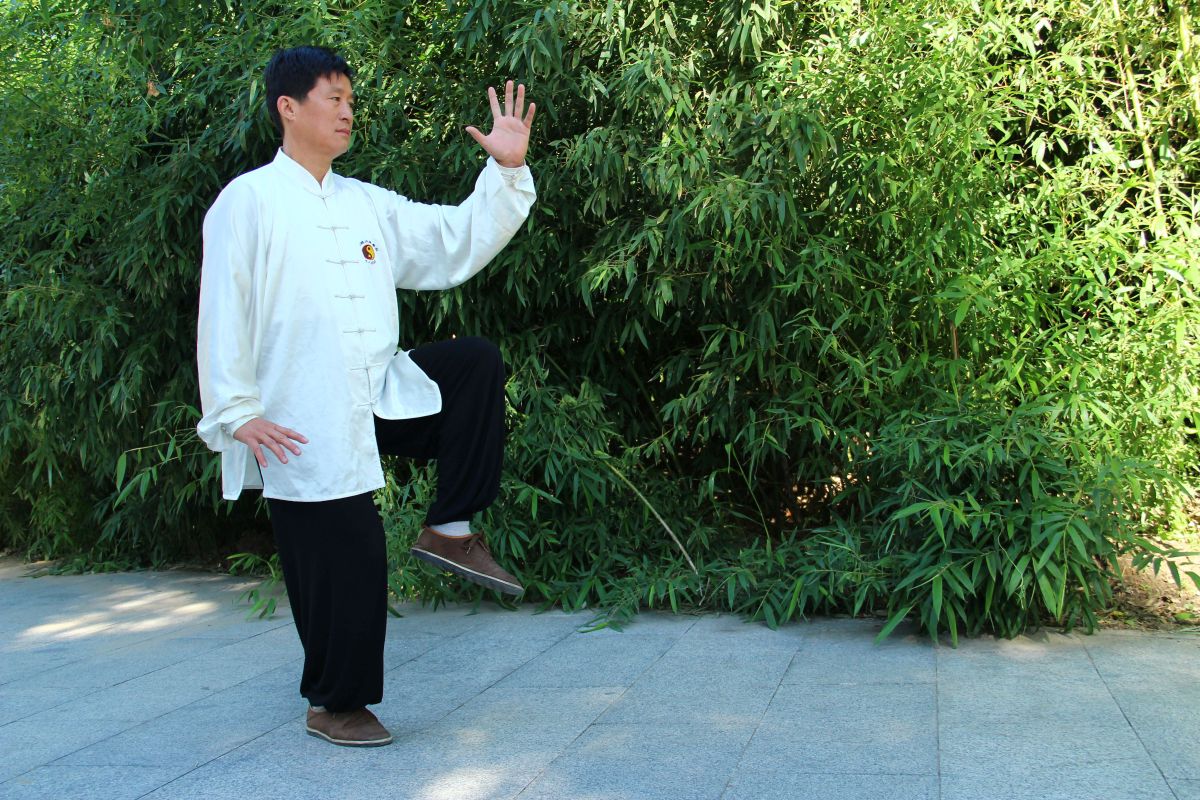 拳架6
